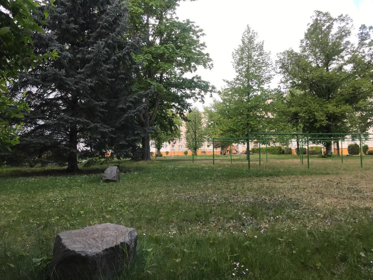 Zentrumsnahe Leipzig-Apartments, Nahe Ufz Und Bmw Inkl Parkplatz Und Fahrraeder Bagian luar foto