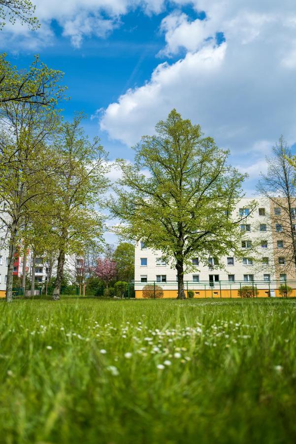 Zentrumsnahe Leipzig-Apartments, Nahe Ufz Und Bmw Inkl Parkplatz Und Fahrraeder Bagian luar foto
