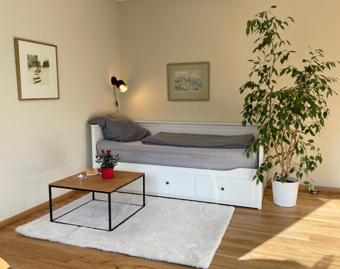 Zentrumsnahe Leipzig-Apartments, Nahe Ufz Und Bmw Inkl Parkplatz Und Fahrraeder Bagian luar foto